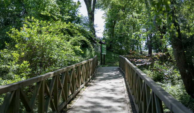 Tablice edukacyjne w Twardogórze Fundacja Musa